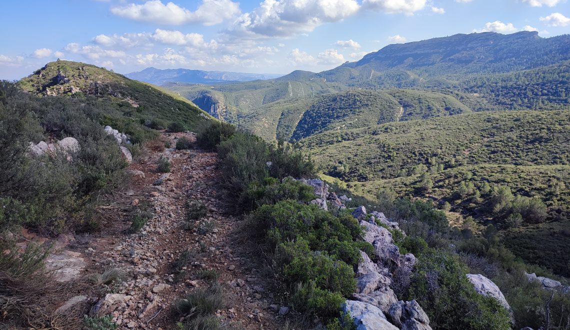 tabarla venta de gaeta gr7 spanje hiken trail wandelen lange afstand backpacken kamperen wildkamperen wild zwijn wilde dieren slecht begaanbaar pad solotocht vrouw alleen op reis vermoeidheid natuur avontuur